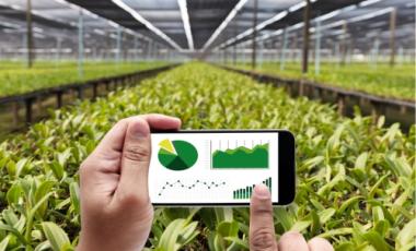Agriculture