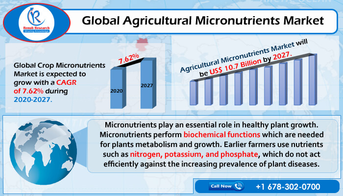 global agricultural micronutrients market
