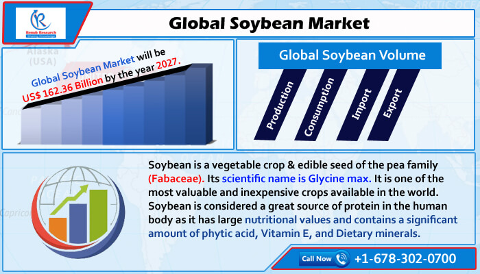 global soybean market