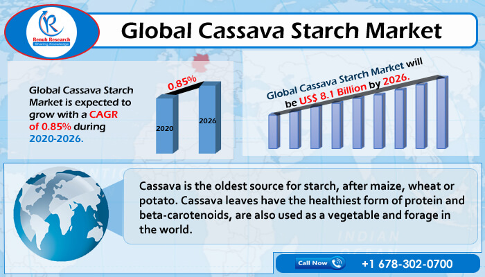 global cassava starch market