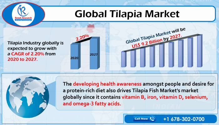 global tilapia industry