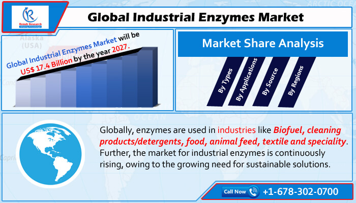 global industrial enzymes market