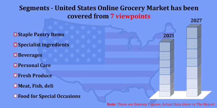 usa online grocery market