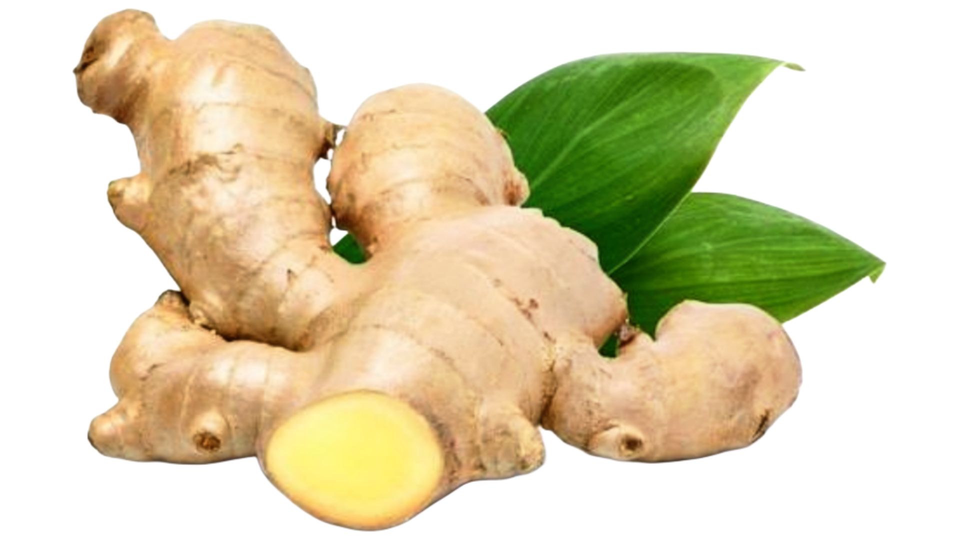 Top Ginger Companies
