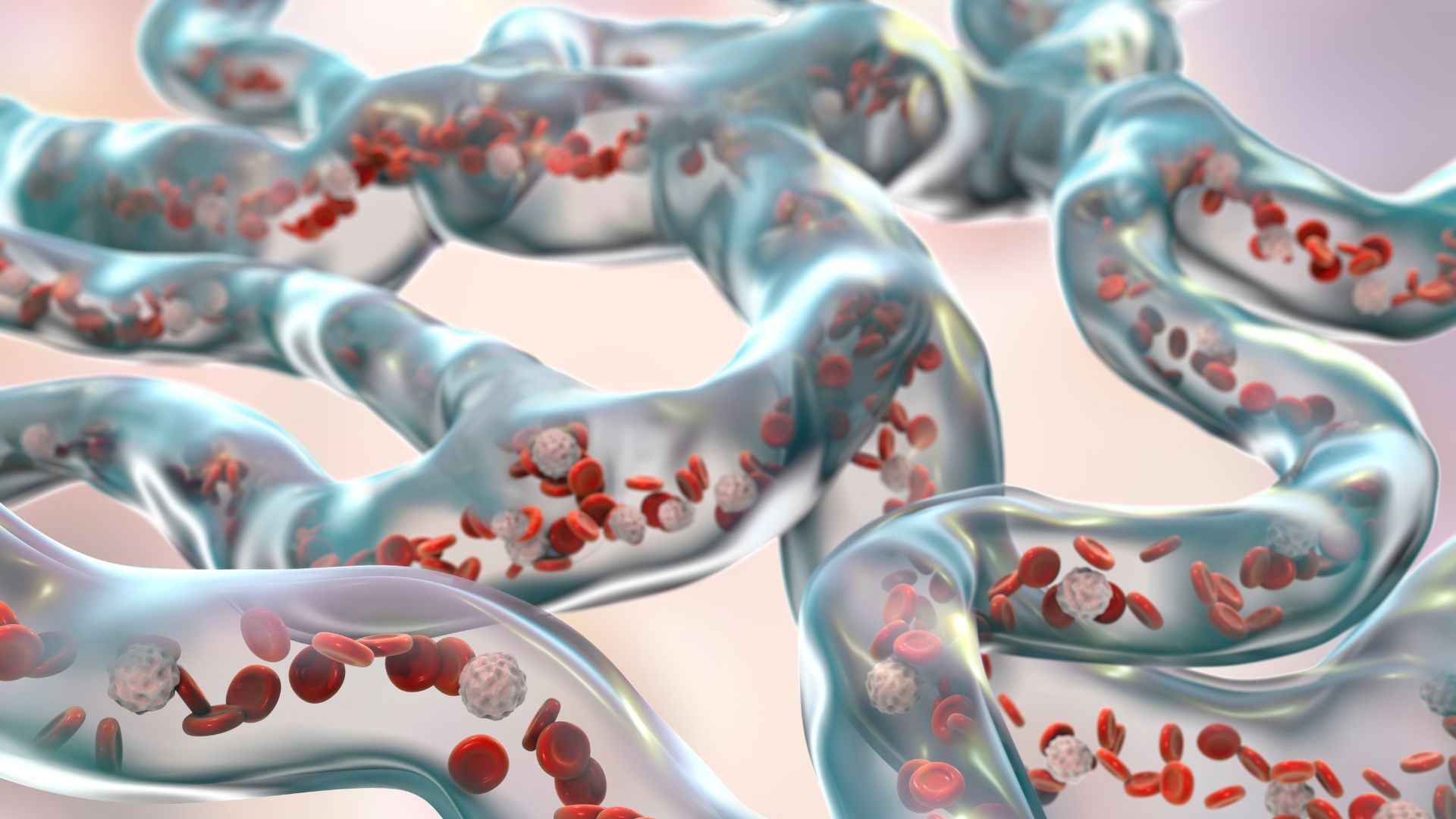 Lipids Companies