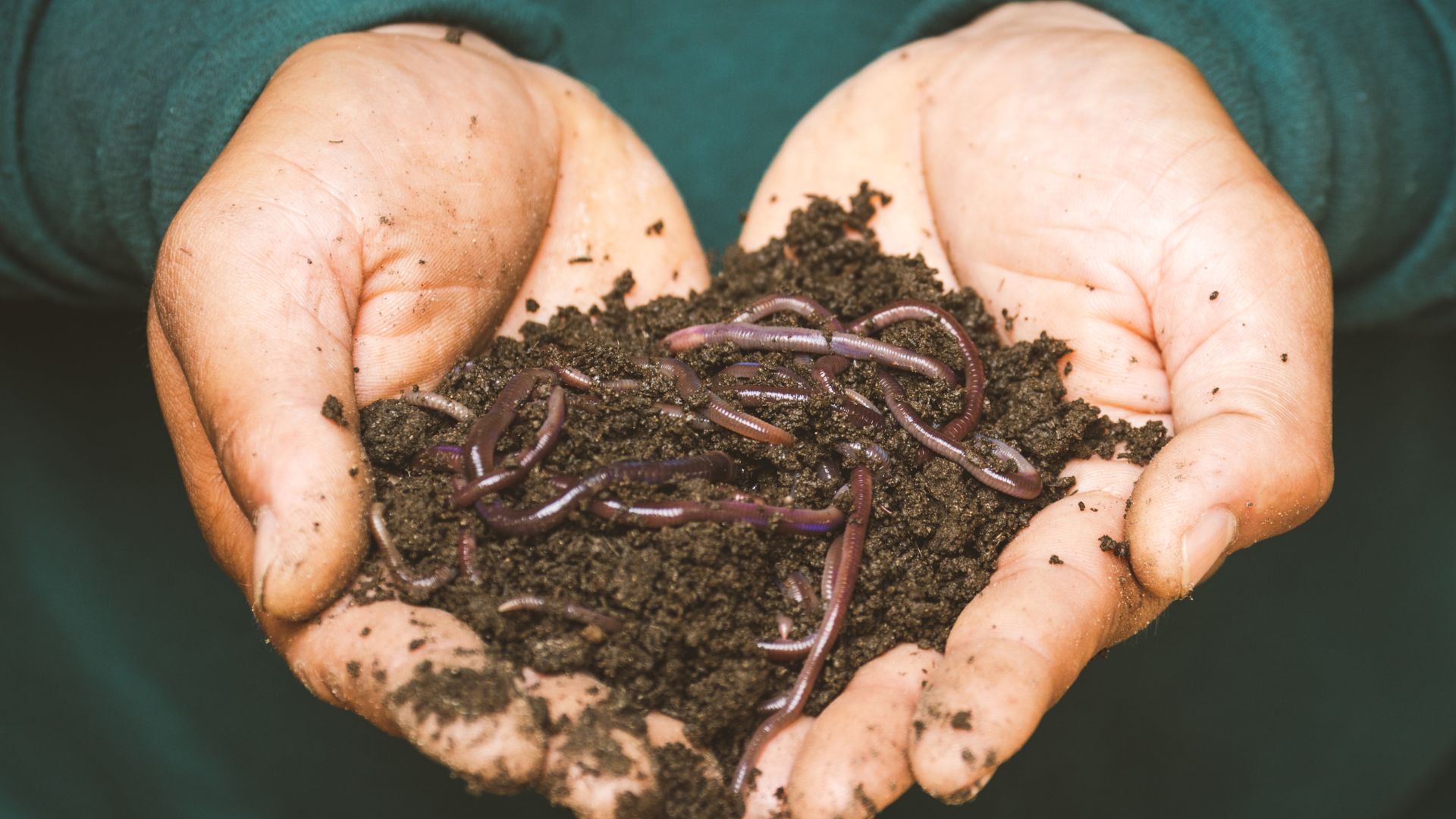 Top Specialty Fertilizer Companies