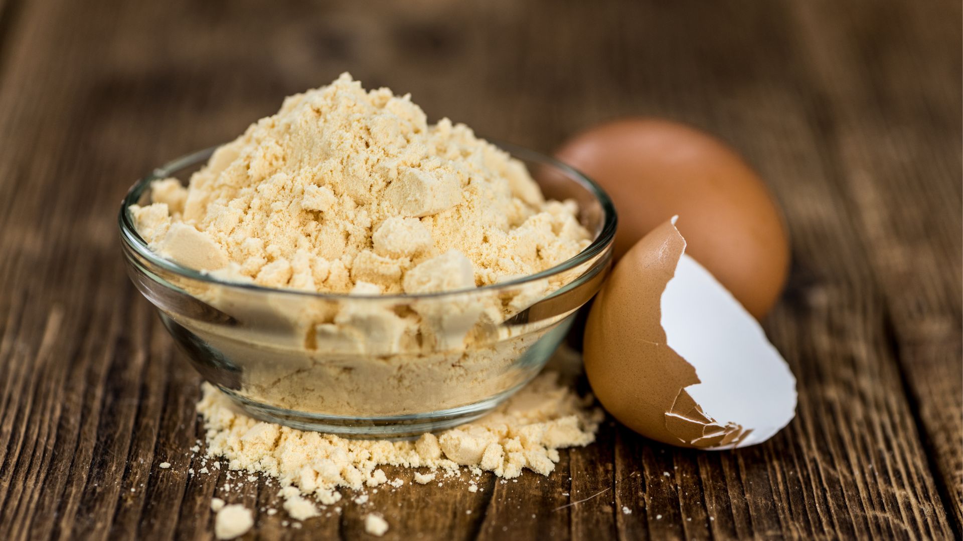 Top Egg Powder Companies