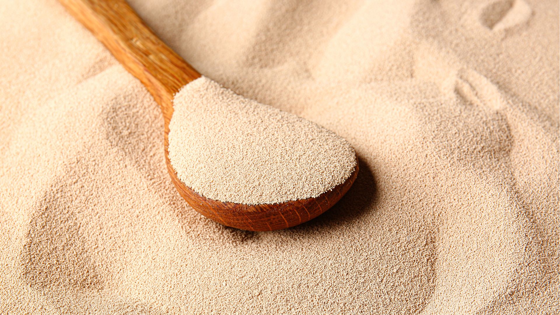 Yeast Companies