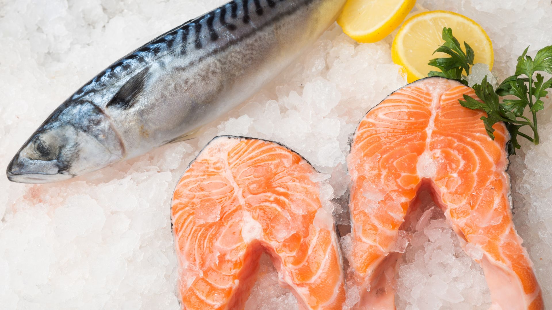 Top Salmon Fish Companies