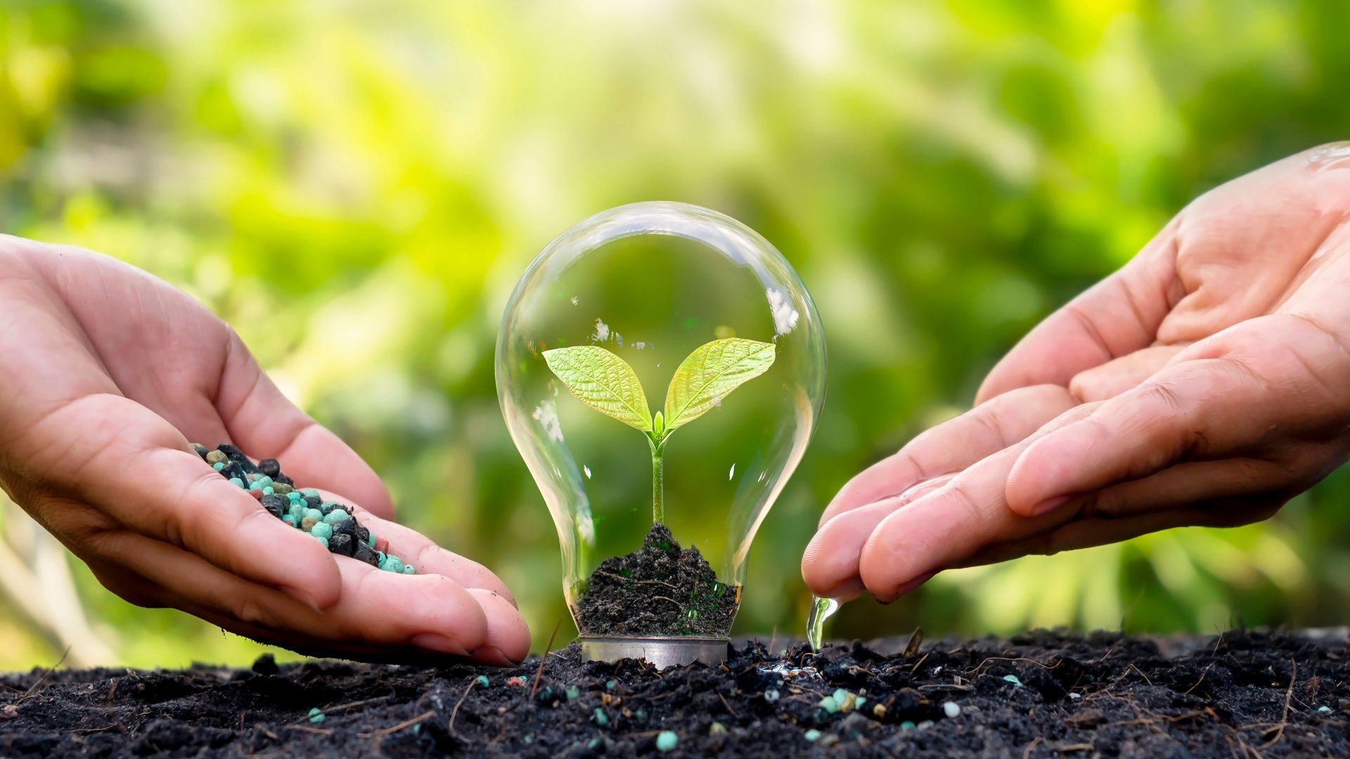 Top India Fertilizers Companies