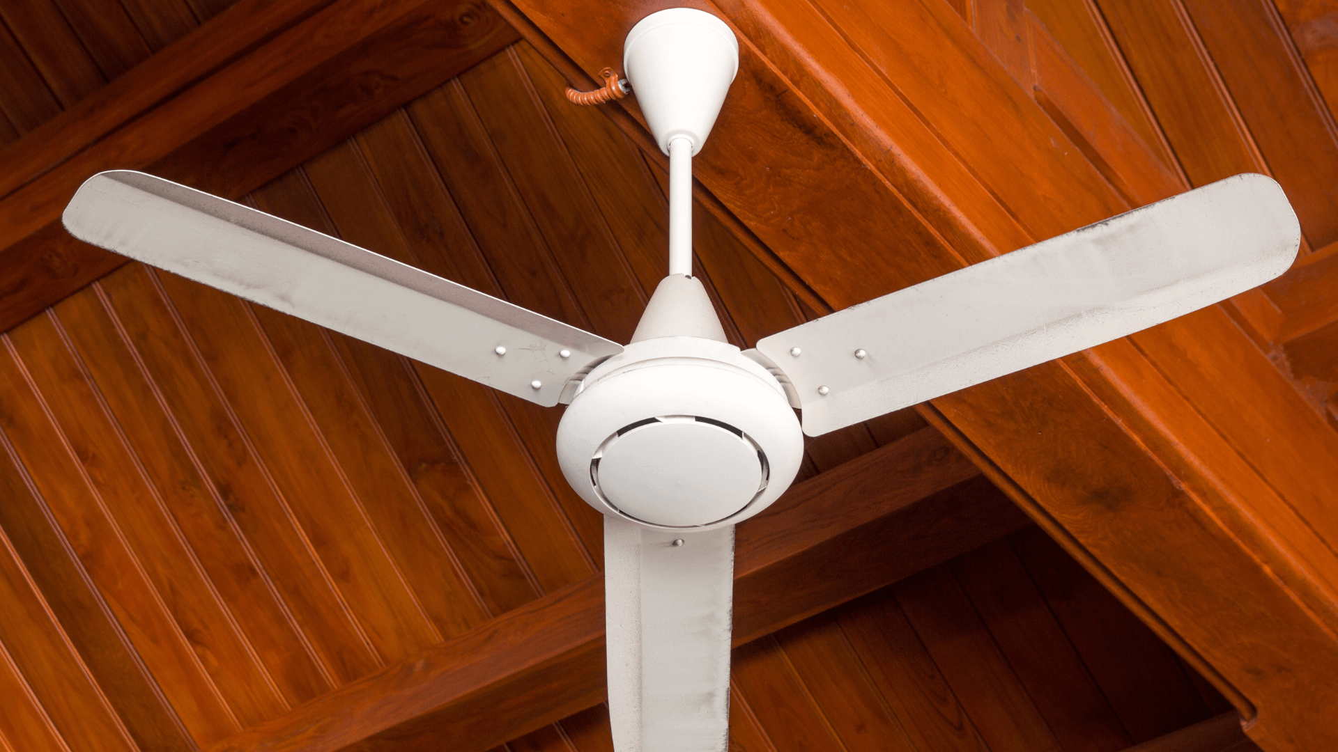 Top Ceiling Fan Companies